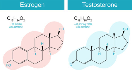 testosterone and estrogen molecules - obrazy, fototapety, plakaty
