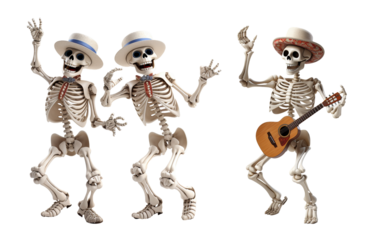 skeleton with a skull