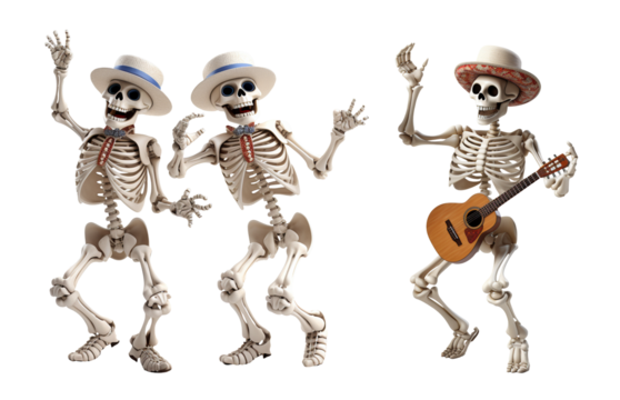 skeleton with a skull