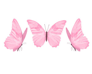 pink butterfly isolated on white