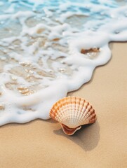 Fototapeta na wymiar vertical wallpaper. seashell.