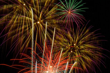 Colorful fireworks exploded in the night sky.