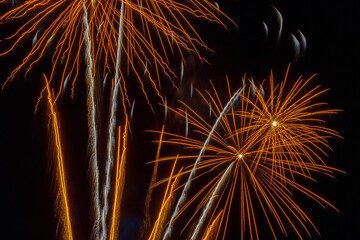 Colorful fireworks exploded in the night sky.
