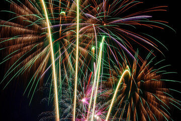 Colorful fireworks exploded in the night sky.