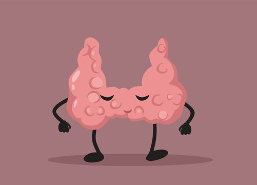 Thyroid Gland Cartoon Mascot Character in Vector Style. Cheerful happy internal organ character design
