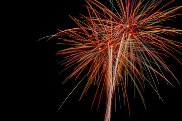 Colorful fireworks exploded in the night sky.