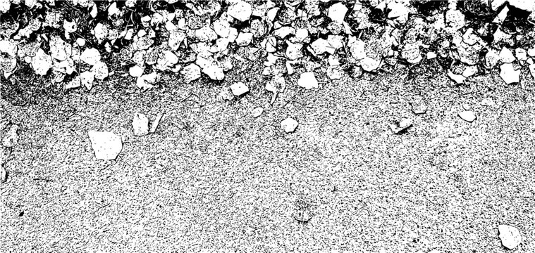 Vector grunge texture of a large number of fallen leaves on asphalt. Autumn texture. Texture overlay, stencil in grunge style. Design element
