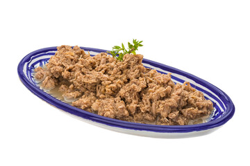 Canned Tuna fillet