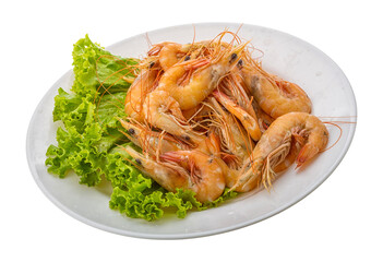 Big tiger shrimps