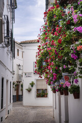 Fototapeta na wymiar Priego de Cordoba, Andalusia, Spain