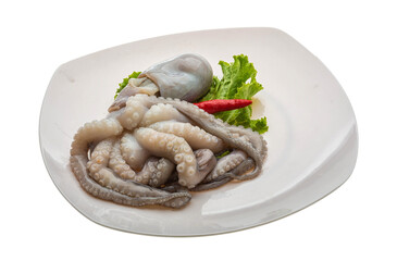 Raw octopus