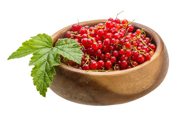 Red currant
