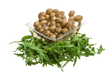 Japan mushroom Shimeji