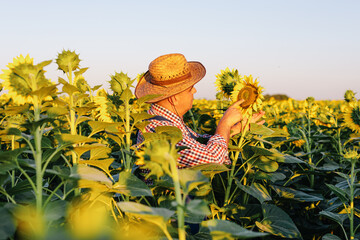 Owner of a sunflower farm inspects the harvest.