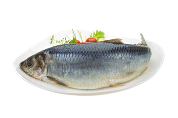 Marinated herring with herbs