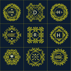 Fototapeta premium illustration of a set of gold