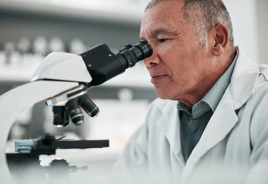 Microscope, senior man or chemistry with research, medical or data analysis with pathology. Mature person, scientist or researcher with laboratory equipment, check sample or analytics with healthcare