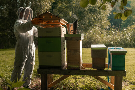 Beekeeping suit, honey bees, beekeeper, bee keeper, wooden bee boxes, hives, farming,