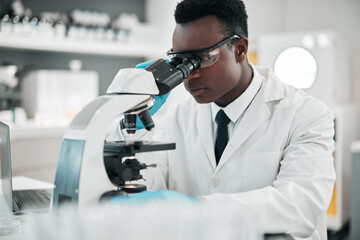 Microscope, black man or biotechnology with research, medical or data analysis with experiment. African person, scientist or researcher with laboratory equipment, testing sample or dna with pathology