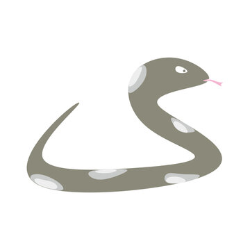 illustration snake