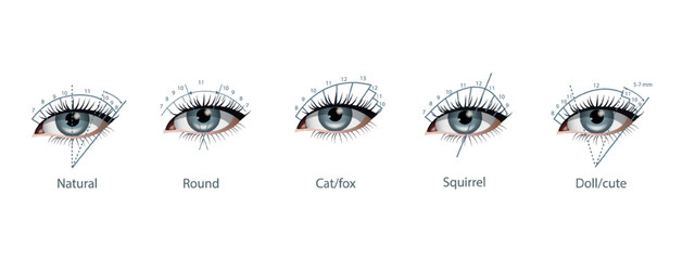 Eyelash Extension Guide. Direction schemes. Tips and tricks for eyelash extension. Infographic