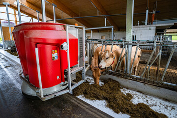 Rindviehfütterung - Futterroboter beim Vorgeben von Grundfutter im modernen Kuhstall.