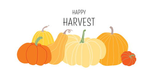 Happy Harvest. Horizontal banner with different pumpkins isoleted on white background. Vector harvest, autumn design element. Pumpkin set different colors and sizes. Flat design