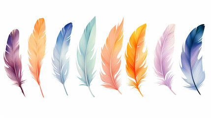 Colorful watercolor bird feathers set. Watercolor illustration on a white background.