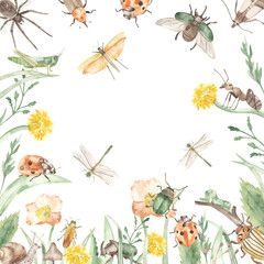 Insects, grass, greenery, beetles, ladybug for cards and invitations Watercolor frame banner 