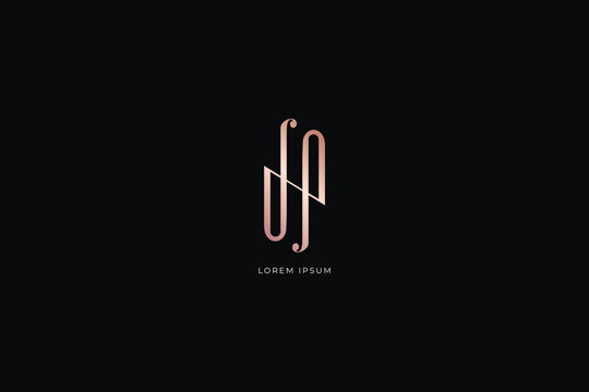 dnp letter modern style brand luxury, fashion floral style design modern style creative golden wordmark design typography illustration, jnp, dnp wordmark, jnp logo