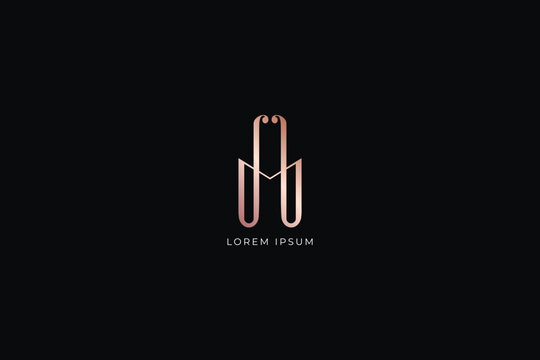 am letter modern style brand luxury, fashion floral style design modern style creative golden wordmark design typography illustration, ma wordmark, am logo