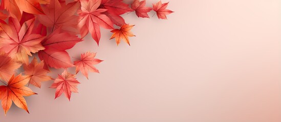 Red autumn leaves pattern perfect for wallpaper design isolated pastel background Copy space