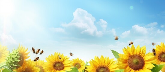 Bees flew around sunflowers on a sunny Saturday isolated pastel background Copy space