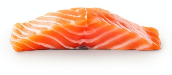 Sushi with salmon isolated pastel background Copy space