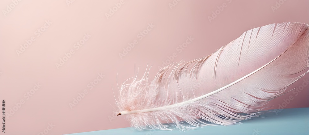 Aufkleber Muted colors in closeup of feather macro photo with beautiful minimalistic background isolated pastel background Copy space