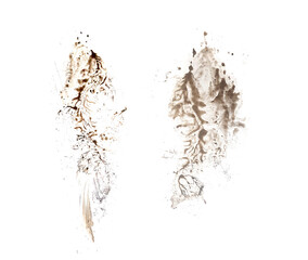 Two footprint isolated on white background. Dirty muddy print boot