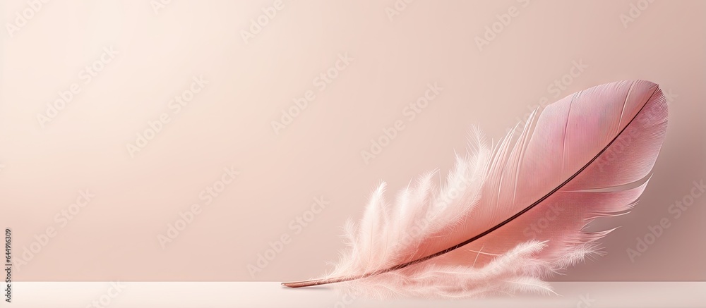 Aufkleber Muted colors in closeup of feather macro photo with beautiful minimalistic background isolated pastel background Copy space