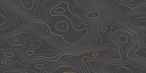 Abstract luxury golden and black wave lines art background. Background of the topographic map. Design used for wall art, fabric, packaging, web, banner, wallpaper.