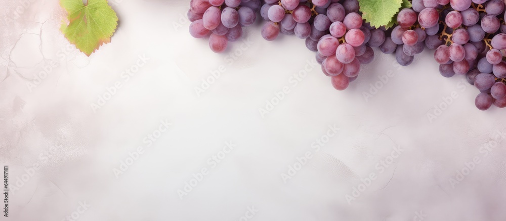 Poster grapes are a type of fruit isolated pastel background copy space