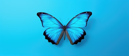 Flying blue butterfly isolated pastel background Copy space