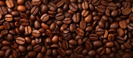 Fototapeta premium coffee beans Texture of roasted coffee beans isolated pastel background Copy space