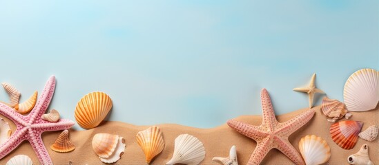 Fototapeta na wymiar Summer vibes Shells and starfish isolated pastel background Copy space