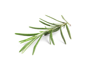 Fototapeta premium Sprig of fresh rosemary isolated on white