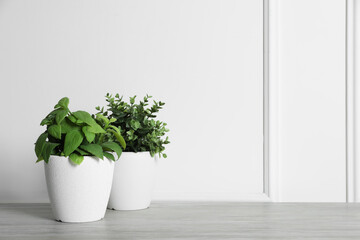Different artificial potted herbs on white wooden table near wall, space for text