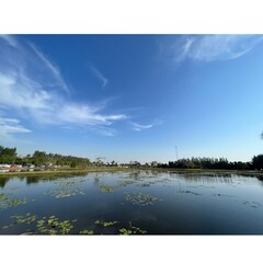 Fototapeta premium landscape with lake