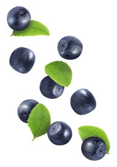 Many fresh ripe blueberries and green leaves flying on white background