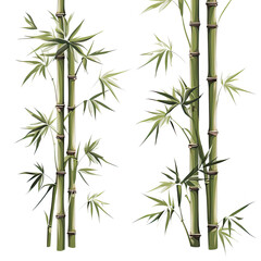 Bamboo Plant Green vector graphic