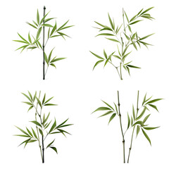 Bamboo Plant Green vector graphic