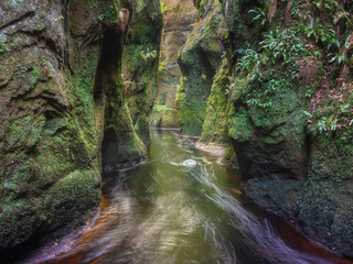 Devil's Pulpit, Scotland. Finnich Glen. Beautiful gorge with mossy rocks and a flowing stream.