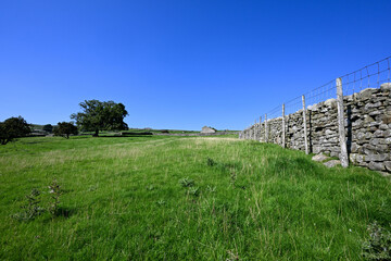 Fototapeta na wymiar landscape with dry stone wall